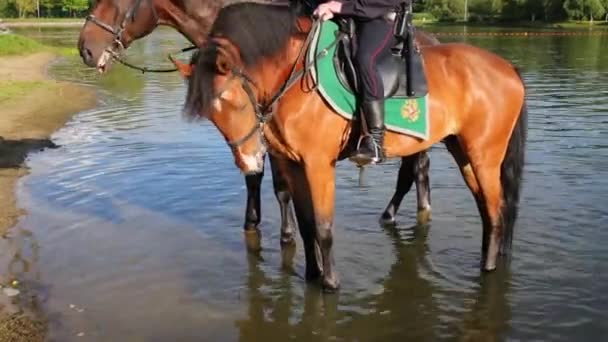 Ben Ryttare Läderstövlar Och Vatten Och Sadel Med Ryska Emblem — Stockvideo