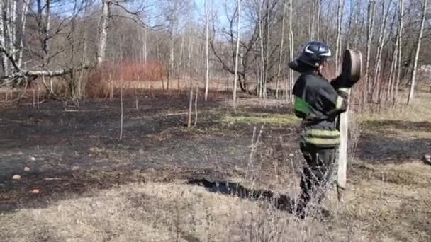 Hasič Uniformě Zvraty Hadice Hašení Lesního Požáru — Stock video