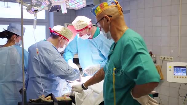 モスクワ 2015 医師は 兎と砕石のセンターで内視鏡手術ヘルニア後涙を縫う — ストック動画