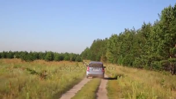 Auto Fährt Sommer Auf Waldweg — Stockvideo