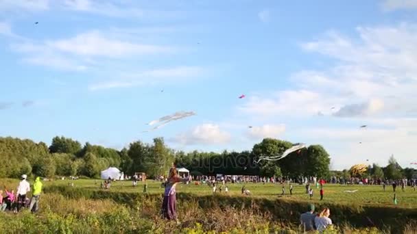 Mosca Agosto 2015 Festa Degli Aquiloni Cielo Colorato Sul Prato — Video Stock