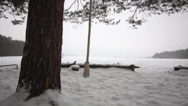 雪の降る冬の木の松の木の両側に揺れるロープのハングを登る — ストック動画