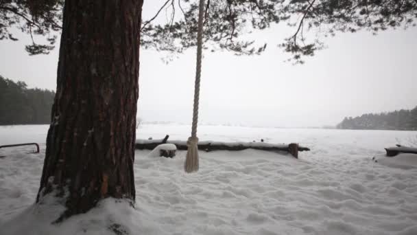 Arrampicata Corda Pende Ondeggiante Lati Pino Nel Bosco Invernale Nevoso — Video Stock