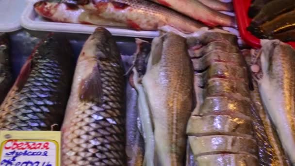 店内有鱼产品 价格标签上的铭文 新鲜鳕鱼 乌鱼和狗鱼鲈鱼 — 图库视频影像