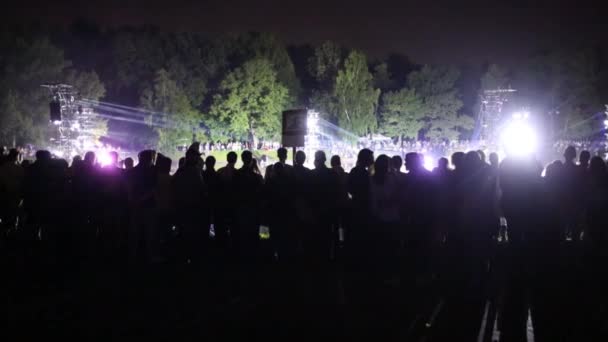 Sylwetki Ludzi Podczas Nocy Pokaż Lato Park — Wideo stockowe