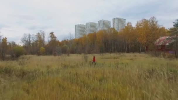 Une Femme Promène Milieu Herbe Dans Parc National Sur Elk — Video