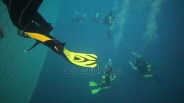 Pernas Mergulhador Muitas Bolhas Outros Mergulhadores Fora Foco Piscina — Vídeo de Stock