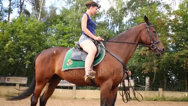 Žena Šortkách Sedí Koni Emblémem Sedadle Připraví Koni — Stock video