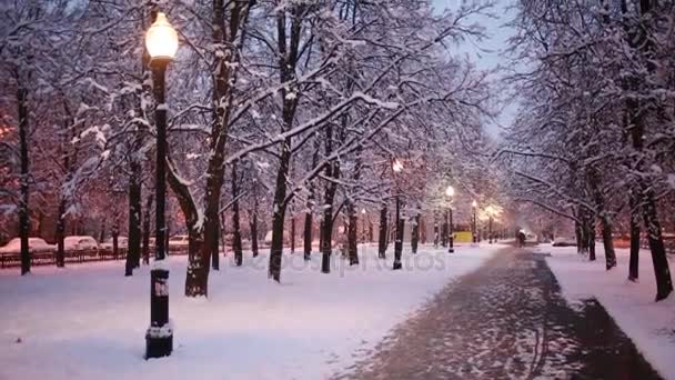 Алея Зимовому Парку Сніжними Деревами Ліхтарями Ввечері — стокове відео