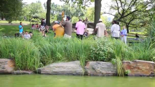 Nyc Usa Aug 2014 People Listen Musical Quarter Pond Central — Stock Video