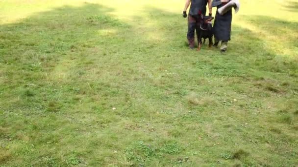 Deux Hommes Est Dresseur Chiens Avec Doberman Pinscher Sur Herbe — Video