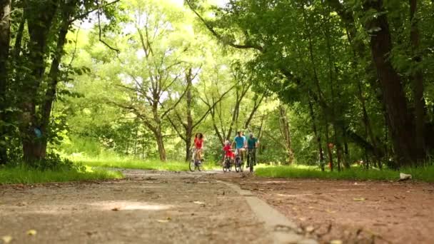 Ouders Met Twee Kinderen Rijden Fietsen Het Park Een Zonnige — Stockvideo