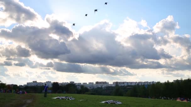 Солнечный Свет Облаками Летящие Воздушные Змеи Группа Пилотов Лугу Летом — стоковое видео
