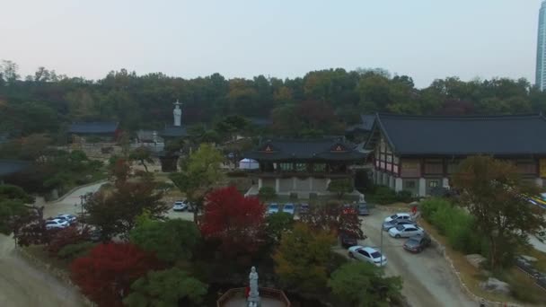 秋の日の韓国の仏教寺奉恩寺ソウル 2015 航空写真ビュー — ストック動画