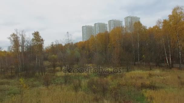 Park Narodowy Wyspie Łosia Kobietą Która Kroczy Wśród Trawy Niedaleko — Wideo stockowe