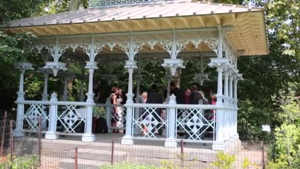 2014年8月21日 亭子与婚礼和孩子在岩石石头附近演奏在池塘在纽约中央公园 — 图库视频影像
