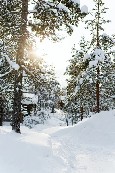 Paisagem de inverno na Lapônia finlandesa — Fotografia de Stock