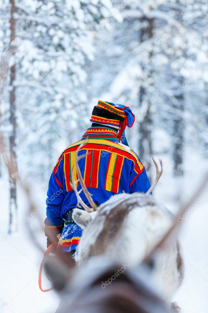 Reindeer safari in Finnish Lapland