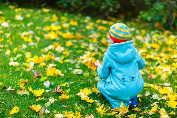 Liten flicka utomhus på höstdag — Stockfoto