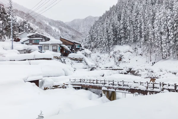 Paisaje invernal en Nagano, Japón —  Fotos de Stock