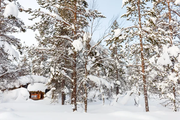 Paisaje invernal en Laponia Finlandia — Foto de Stock
