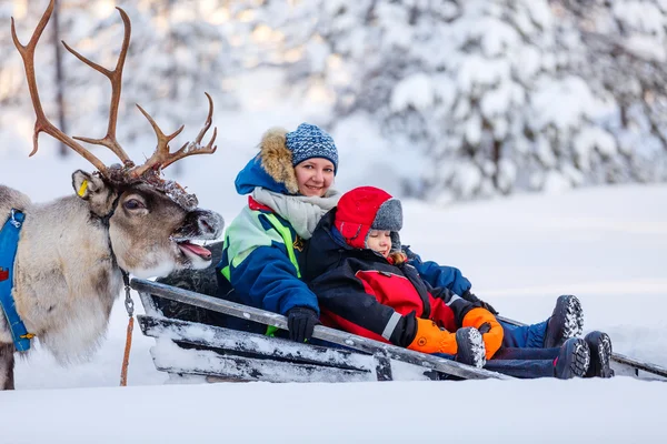 Reindeer safari in Lapland Finland — Stock Photo, Image