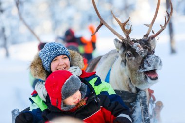 Reindeer safari in Finnish Lapland clipart
