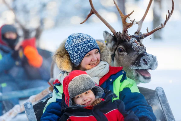 Reindeer safari in Lapland — Stock Photo, Image