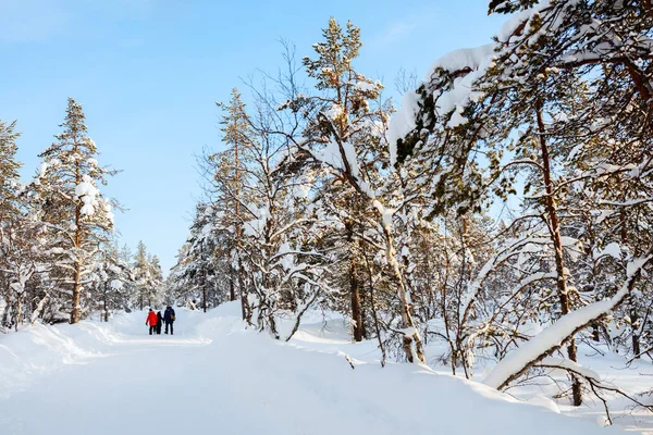 Vater und Kinder im Winter draußen — Stockfoto