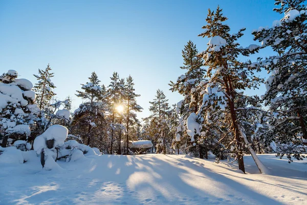 Winterlandschaft in Finnland — Stockfoto