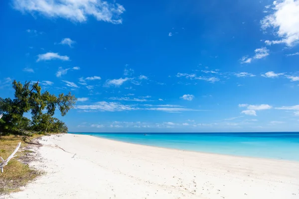 カリブ海で牧歌的なビーチ — ストック写真