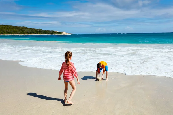 Дети веселятся на пляже — стоковое фото