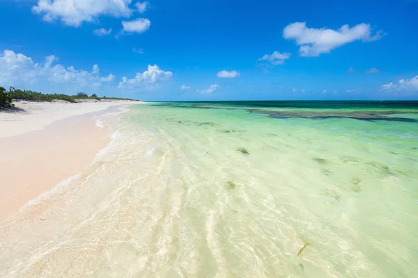 Idyllische strand van Caribbean — Stockfoto