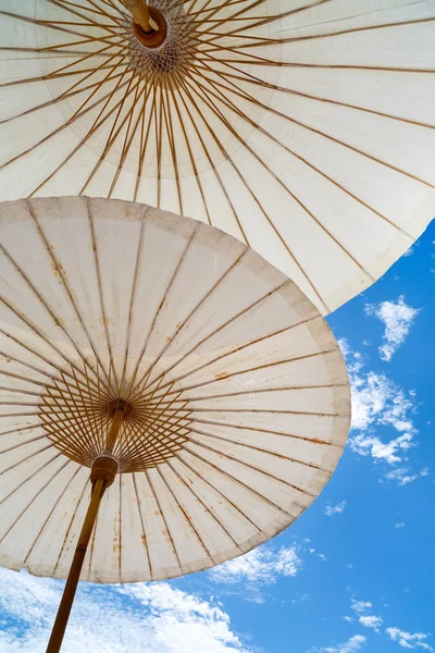 Sonnenschirme aus nächster Nähe — Stockfoto