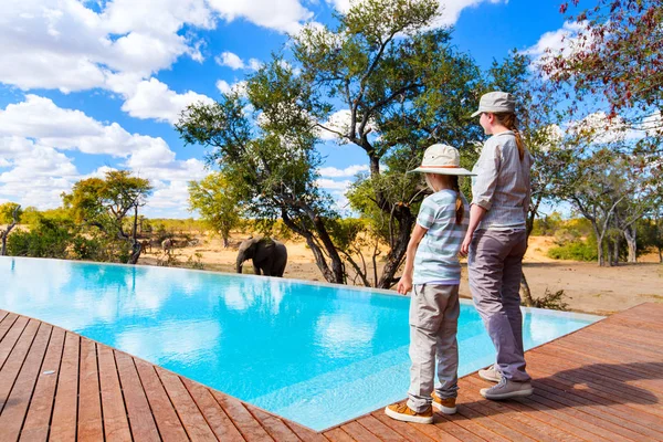 Familjen lyx safari — Stockfoto