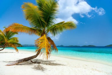 Beautiful tropical beach at Caribbean clipart