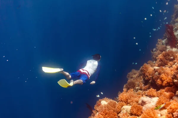 Homem mergulhando no recife de coral — Fotografia de Stock