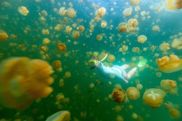 Denizanası gölde dalış turizm — Stok fotoğraf