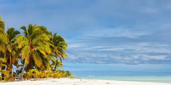 Impresionante playa tropical en la isla exótica en el Pacífico — Foto de Stock