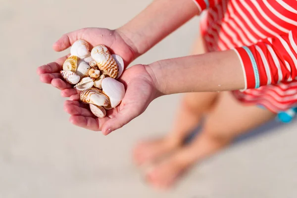 Menina segurando conchas do mar — Fotografia de Stock