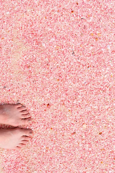 Барбуда рожевий пісок пляжу — стокове фото
