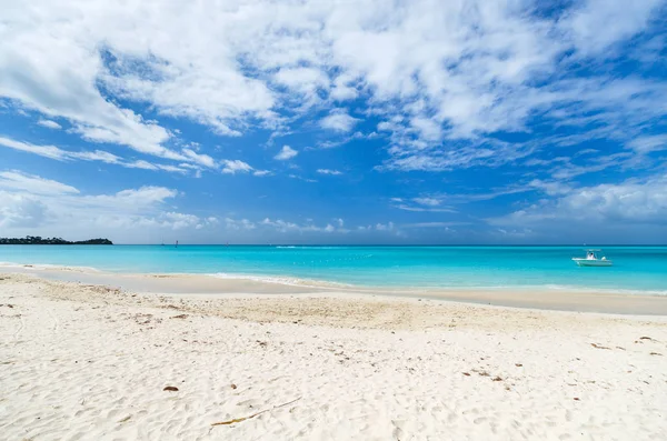 A(z) Caribbean idilli beach — Stock Fotó
