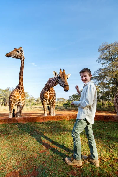 Chłopiec karmienie żyrafy — Zdjęcie stockowe