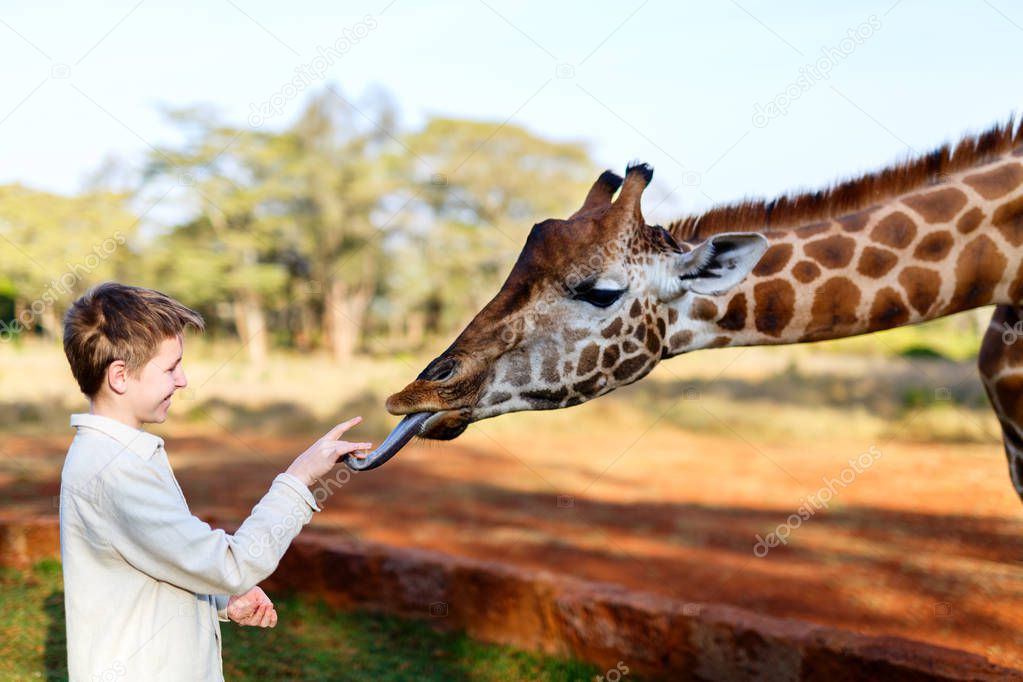 Kid feeding giraffe in Africa