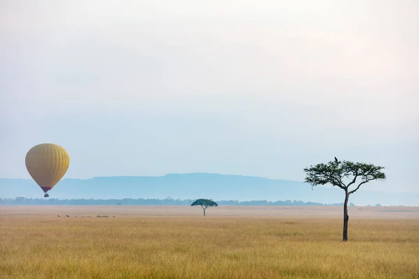 アフリカでは、熱気球 — ストック写真