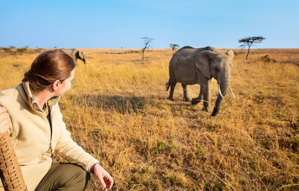 Kvinna på safari game drive — Stockfoto