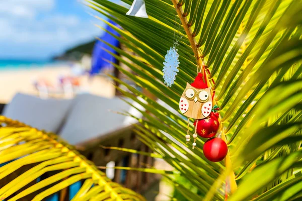 Palm tree decorated for Christmas — Stock Photo, Image