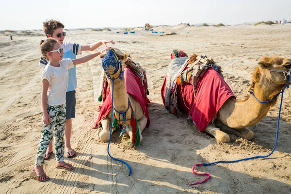 Kinderen met kamelen in de woestijn — Stockfoto