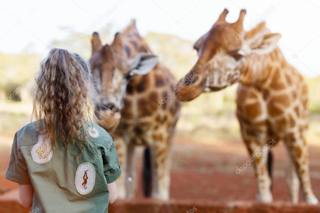 little girl feeding giraffes 