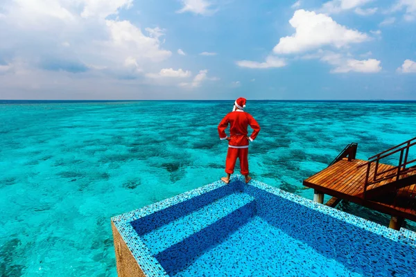Karácsonyi trópusi vakáció — Stock Fotó